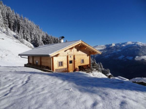 rustic alpine hut, Hippach in the Zillertal, Hippach